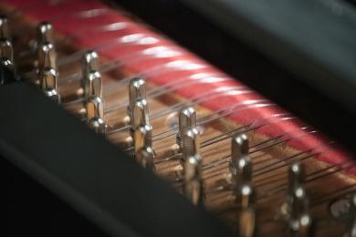 Où trouver le département musique ? © DR PSPBB